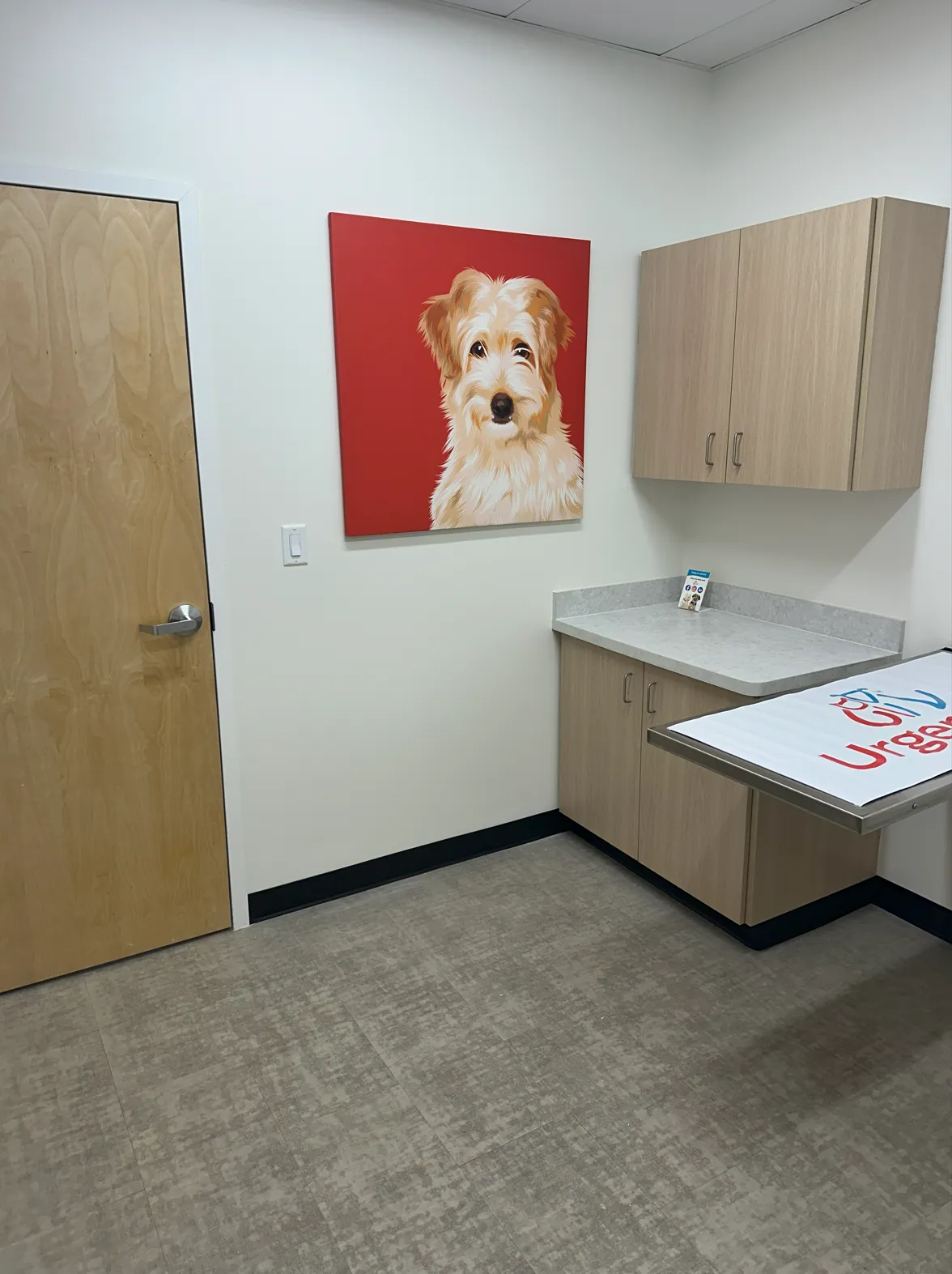 Commercial Facade Repaint